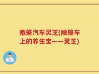 敞篷汽车灵芝(敞篷车上的养生宝——灵芝)