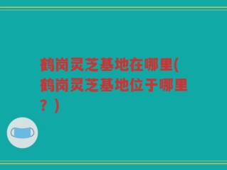 鹤岗灵芝基地在哪里(鹤岗灵芝基地位于哪里？)