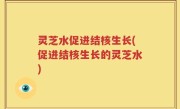 灵芝水促进结核生长(促进结核生长的灵芝水)