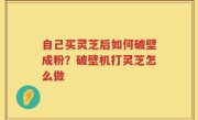 自己买灵芝后如何破壁成粉？破壁机打灵芝怎么做