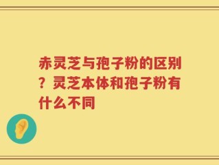 赤灵芝与孢子粉的区别？灵芝本体和孢子粉有什么不同
