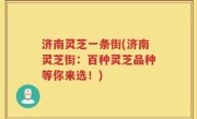 济南灵芝一条街(济南灵芝街：百种灵芝品种等你来选！)
