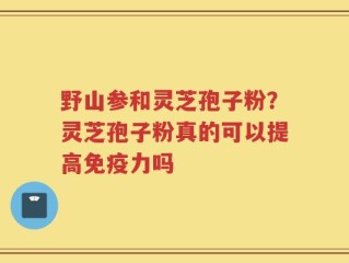 野山参和灵芝孢子粉？灵芝孢子粉真的可以提高免疫力吗