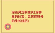 深山灵芝的生长(深林里的珍宝：灵芝在野外的生长经历)