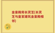 金銮殿旁长灵芝(长灵芝与皇家建筑金銮殿相邻)