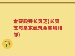 金銮殿旁长灵芝(长灵芝与皇家建筑金銮殿相邻)