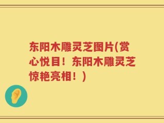 东阳木雕灵芝图片(赏心悦目！东阳木雕灵芝惊艳亮相！)