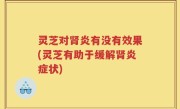 灵芝对肾炎有没有效果(灵芝有助于缓解肾炎症状)