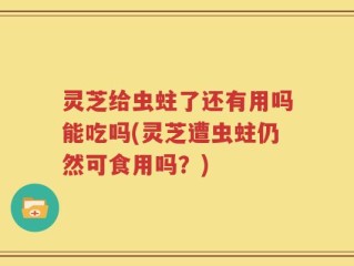 灵芝给虫蛀了还有用吗能吃吗(灵芝遭虫蛀仍然可食用吗？)