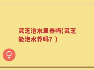 灵芝泡水里养吗(灵芝能泡水养吗？)