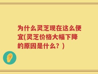 为什么灵芝现在这么便宜(灵芝价格大幅下降的原因是什么？)