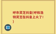 呼市灵芝抖音(呼和浩特灵芝在抖音上火了！)