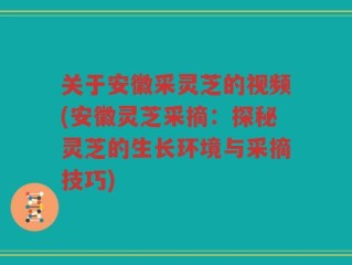 关于安徽采灵芝的视频(安徽灵芝采摘：探秘灵芝的生长环境与采摘技巧)