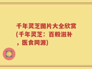 千年灵芝图片大全欣赏(千年灵芝：百般滋补，医食同源)
