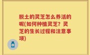脱土的灵芝怎么养活的呢(如何种植灵芝？灵芝的生长过程和注意事项)