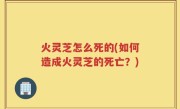 火灵芝怎么死的(如何造成火灵芝的死亡？)
