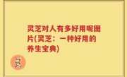 灵芝对人有多好用呢图片(灵芝：一种好用的养生宝典)