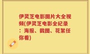 伊灵芝电影图片大全视频(伊灵芝电影全纪录：海报、截图、花絮任你看)