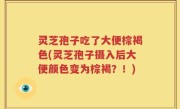 灵芝孢子吃了大便棕褐色(灵芝孢子摄入后大便颜色变为棕褐？！)