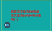 鹿茸灵芝是真的吗(鹿茸灵芝真的有神奇效果吗？)