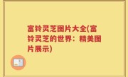 富铃灵芝图片大全(富铃灵芝的世界：精美图片展示)