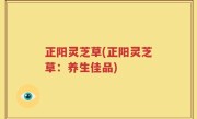 正阳灵芝草(正阳灵芝草：养生佳品)