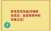 野生灵芝作品(珍稀野生灵芝：自然奇观中的珍珠之王)