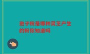孢子粉是哪种灵芝产生的粉你知道吗