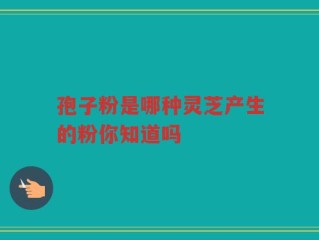 孢子粉是哪种灵芝产生的粉你知道吗