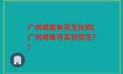 广州哪里有灵芝捡购(广州哪里可买到灵芝？)