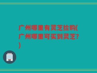 广州哪里有灵芝捡购(广州哪里可买到灵芝？)