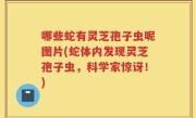 哪些蛇有灵芝孢子虫呢图片(蛇体内发现灵芝孢子虫，科学家惊讶！)