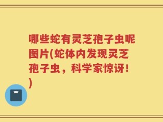 哪些蛇有灵芝孢子虫呢图片(蛇体内发现灵芝孢子虫，科学家惊讶！)