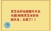灵芝水彩绘画图片大全大图(精美灵芝水彩绘画大全，太美了！)