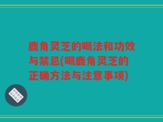 鹿角灵芝的喝法和功效与禁忌(喝鹿角灵芝的正确方法与注意事项)