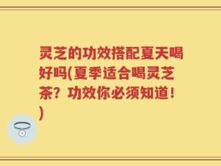 灵芝的功效搭配夏天喝好吗(夏季适合喝灵芝茶？功效你必须知道！)