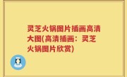 灵芝火锅图片插画高清大图(高清插画:灵芝火锅图片欣赏)