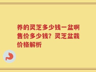 养的灵芝多少钱一盆啊售价多少钱？灵芝盆栽价格解析