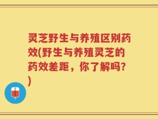 灵芝野生与养殖区别药效(野生与养殖灵芝的药效差距，你了解吗？)