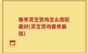 春季灵芝煲鸡怎么搭配最好(灵芝煲鸡春季最佳)