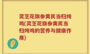 灵芝花旗参黄芪当归炖鸡(灵芝花旗参黄芪当归炖鸡的营养与健康作用)