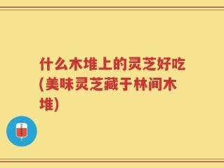 什么木堆上的灵芝好吃(美味灵芝藏于林间木堆)