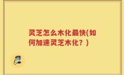 灵芝怎么木化最快(如何加速灵芝木化？)