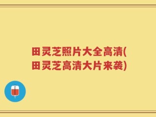 田灵芝照片大全高清(田灵芝高清大片来袭)