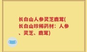 长白山人参灵芝鹿茸(长白山珍稀药材：人参、灵芝、鹿茸)