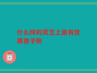 什么样的灵芝上面有优质孢子粉