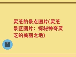 灵芝的景点图片(灵芝景区图片：探秘神奇灵芝的美丽之地)