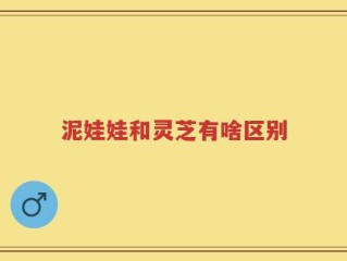 泥娃娃和灵芝有啥区别