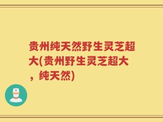 贵州纯天然野生灵芝超大(贵州野生灵芝超大，纯天然)