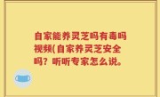 自家能养灵芝吗有毒吗视频(自家养灵芝安全吗？听听专家怎么说。